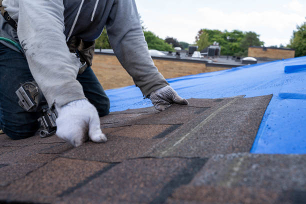 Best Shingle Roofing Installation  in Binghamton University, NY