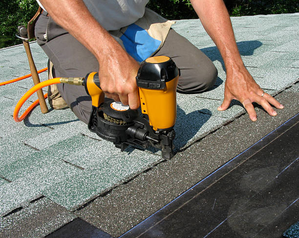 Best Roof Leak Repair  in Binghamton University, NY