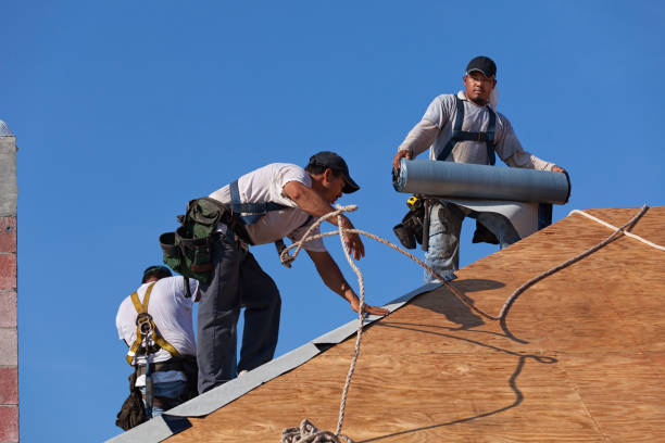 Best Metal Roofing Contractor  in Binghamton University, NY