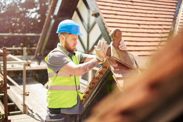 Best Gutter Installation and Roofing  in Binghamton University, NY