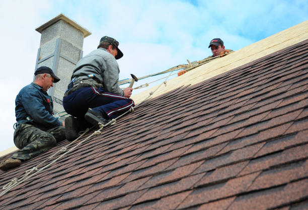 Best Gutter Installation and Roofing  in Binghamton University, NY